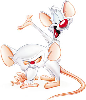 goodman02_PinkyBrain-01.jpg