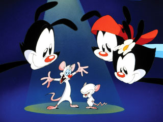 105110__the_animaniacs_l.jpg