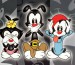 animaniacs1.jpg
